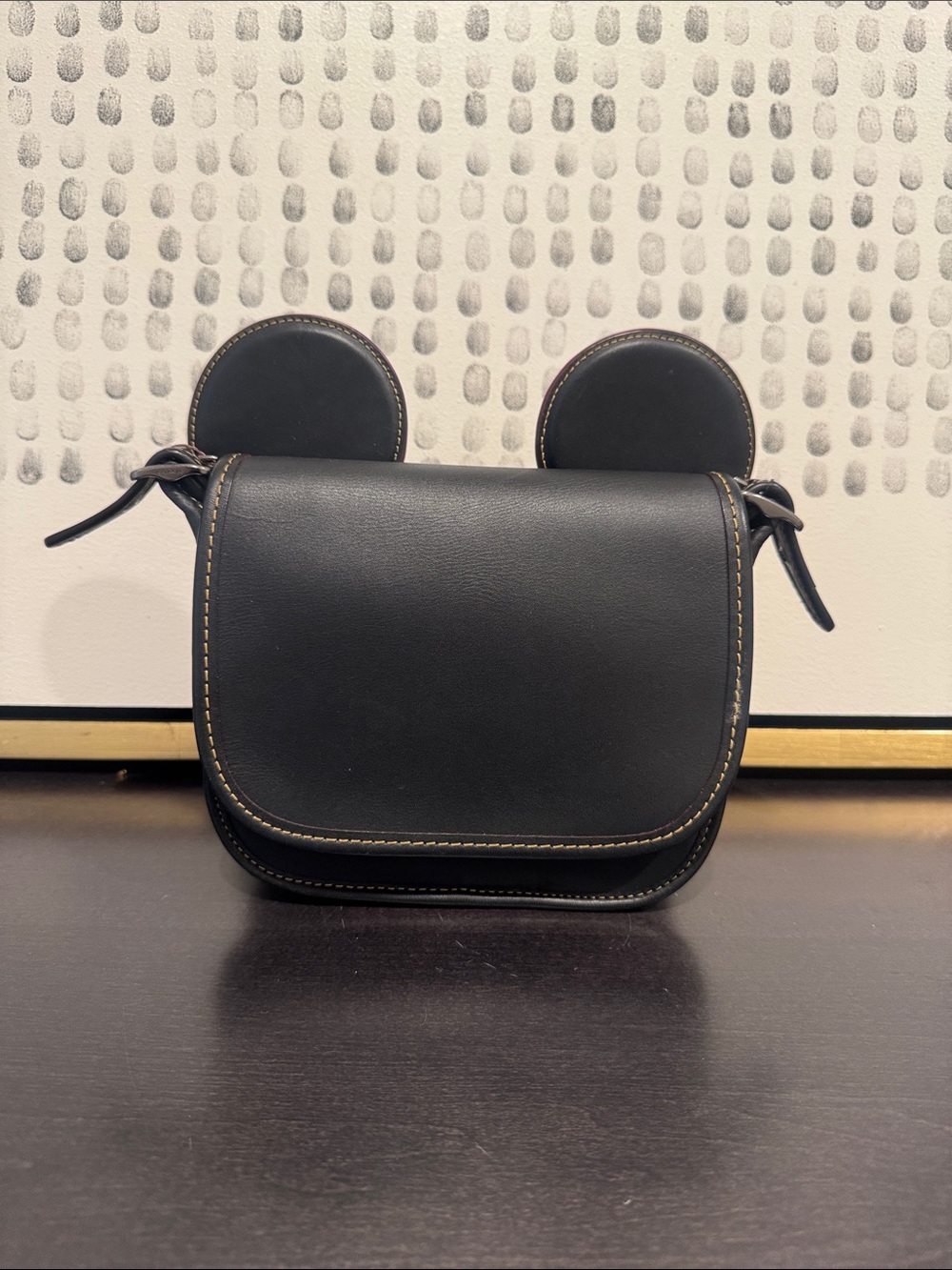 Coach Mickey Crossbody Purse